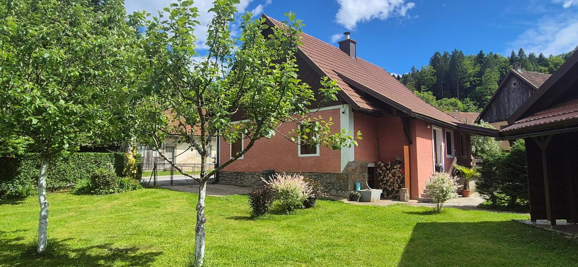 Villa Gorska Kuca Elin Brod na Kupi Esterno foto